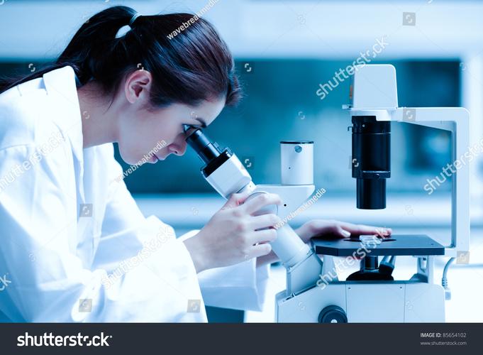 scientists using rhizotron to observe root growth