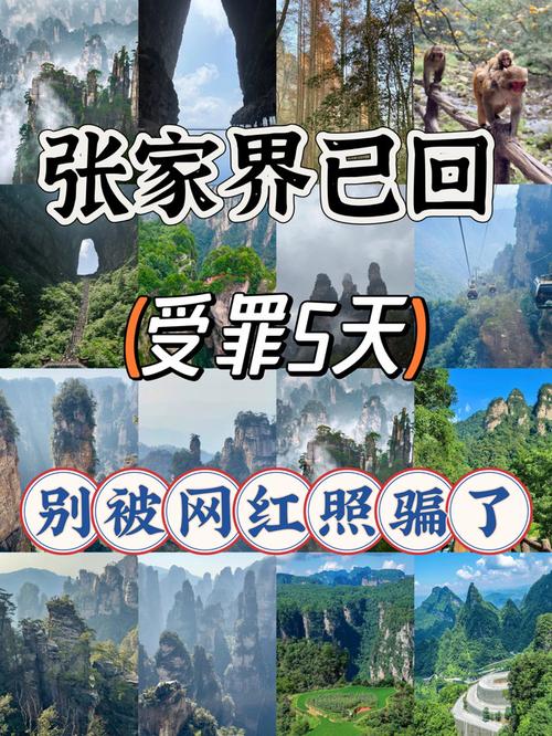 慢慢逛,才能摸到张家界的脾气