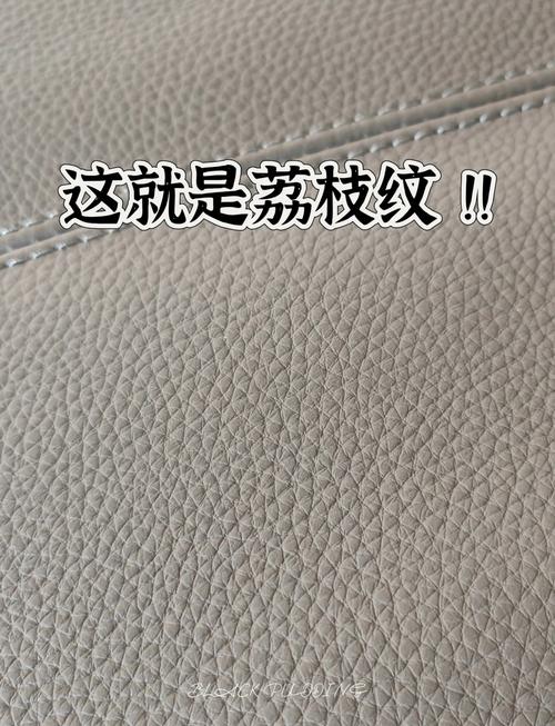 人造荔枝纹与天然荔枝皮微观纹理对比电镜图