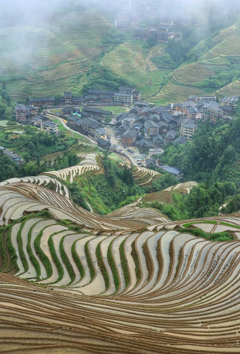 广西龙脊梯田清晨云雾绕山景观