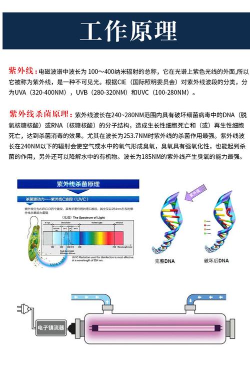 紫外线照射衣物除菌原理示意图