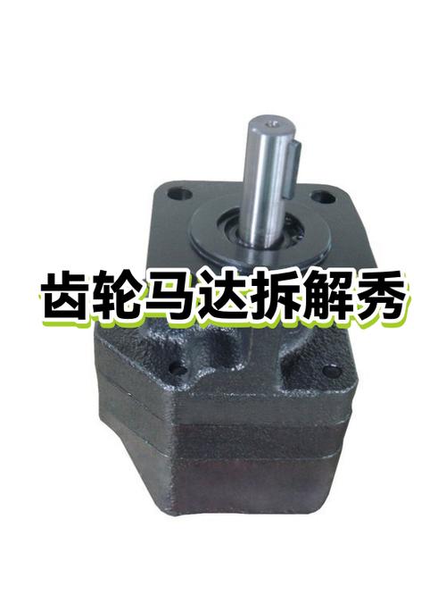 崩齿损坏的小型液压马达拆机实物