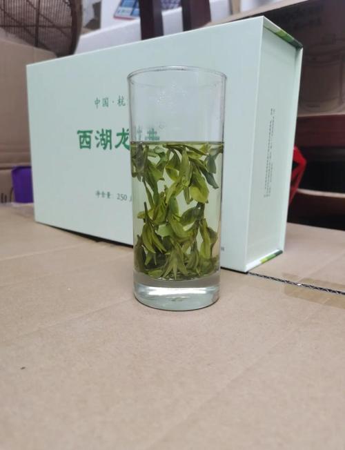 杭州龙井村茶农玻璃杯中泡新茶场景
