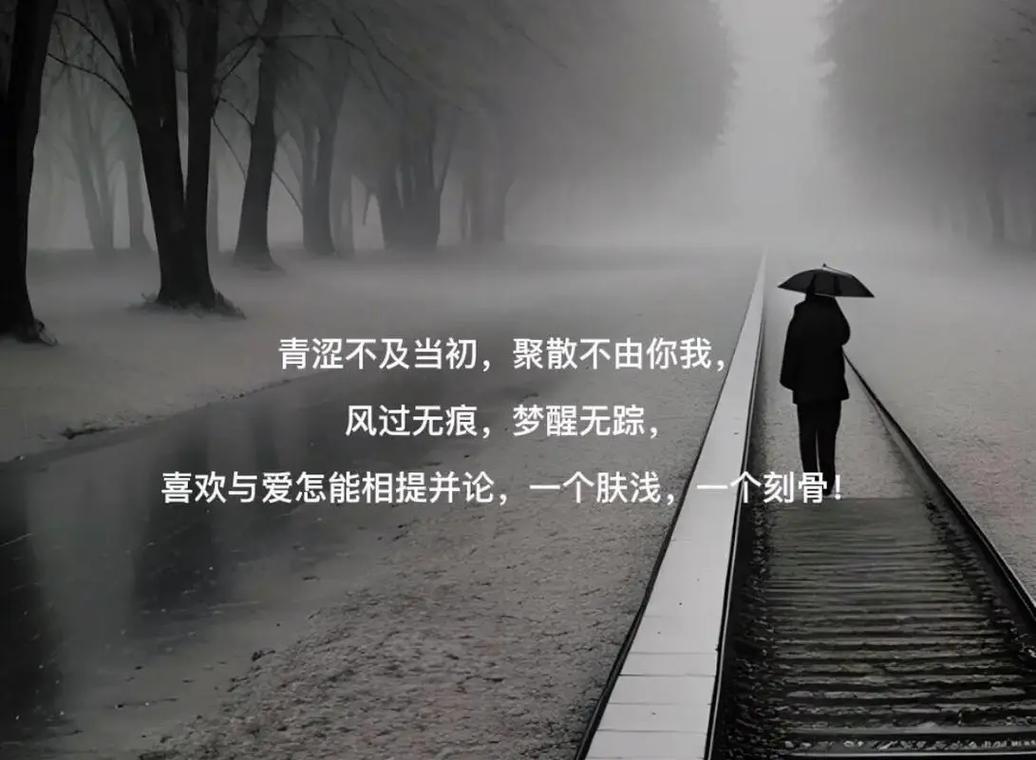 我们曾以为的“离不开”,其实是一厢情愿