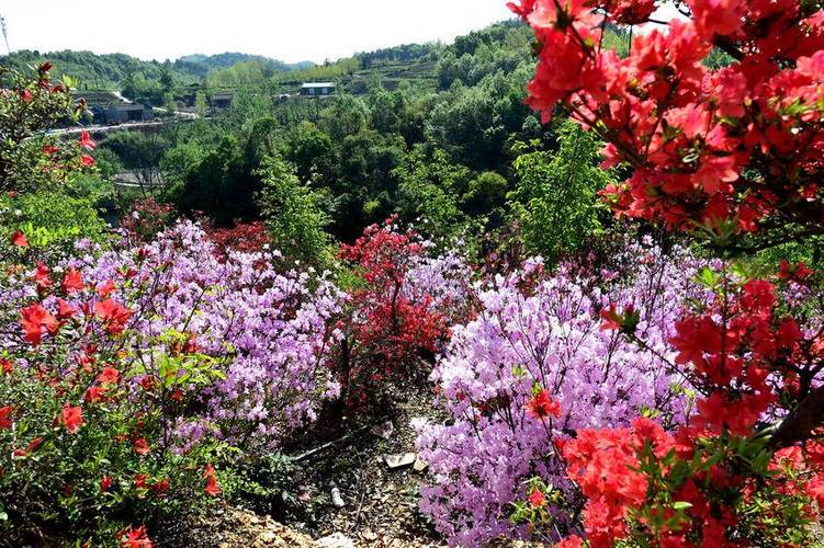 南漳云台山荆山群山春日观景