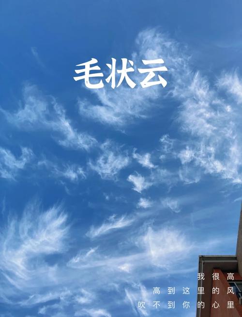那些吹得神乎其神的