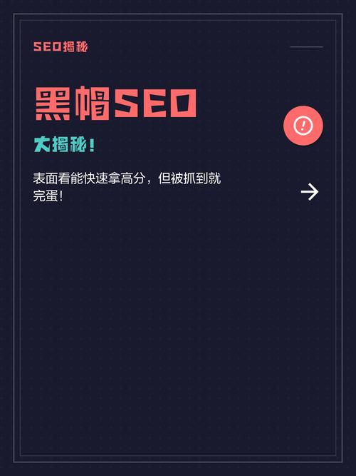 白帽SEO vs 黑帽SEO：8年实操顾问的真实踩坑与落地经验-天天任务