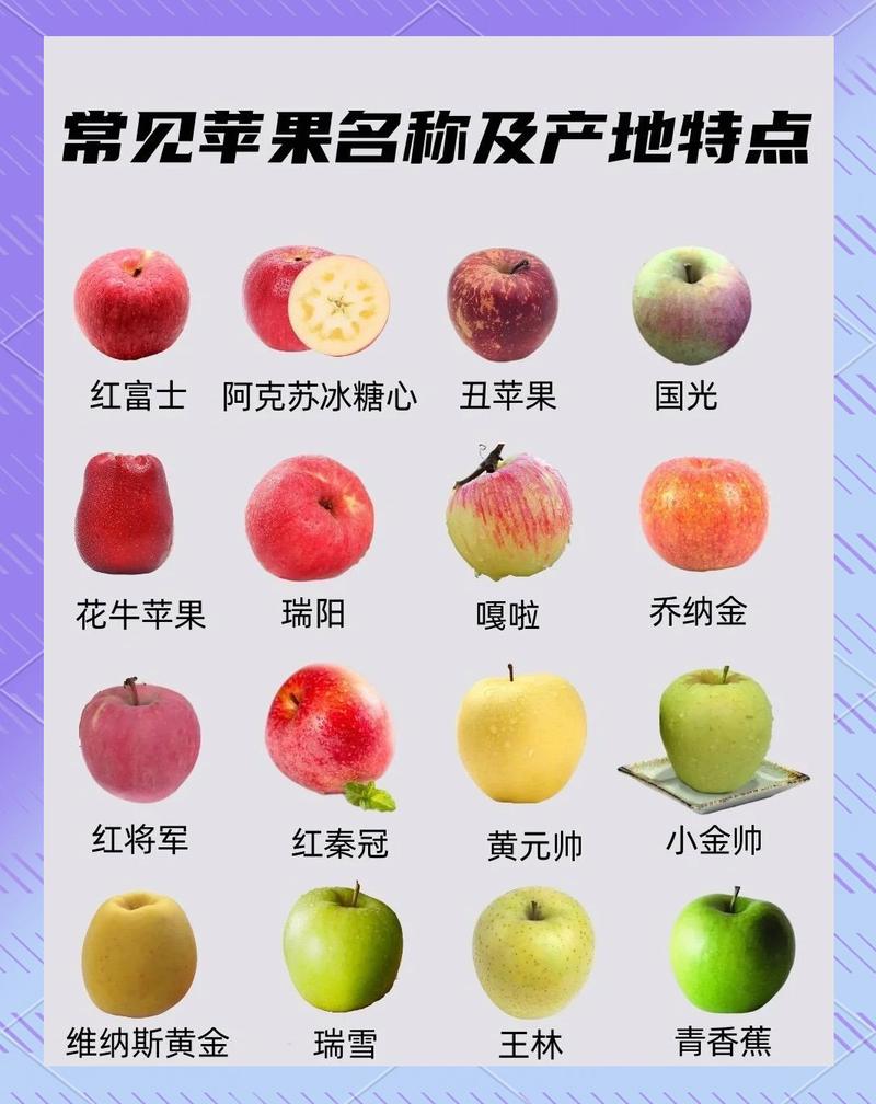 实体识别消歧水果与品牌苹果示意图