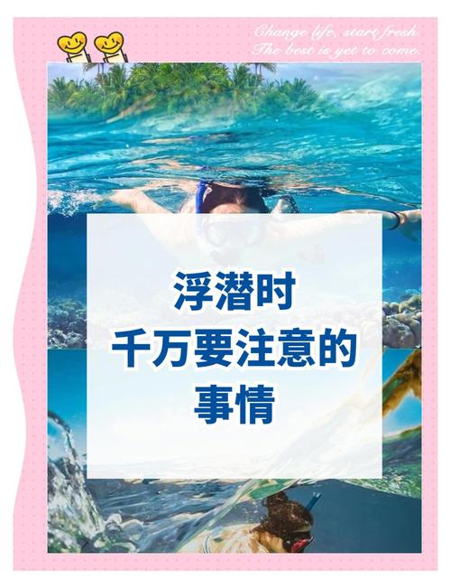 海岛浮潜安全注意事项图解