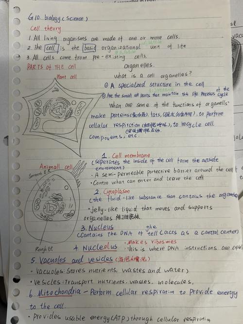 预医学生MCAT学习笔记脑图