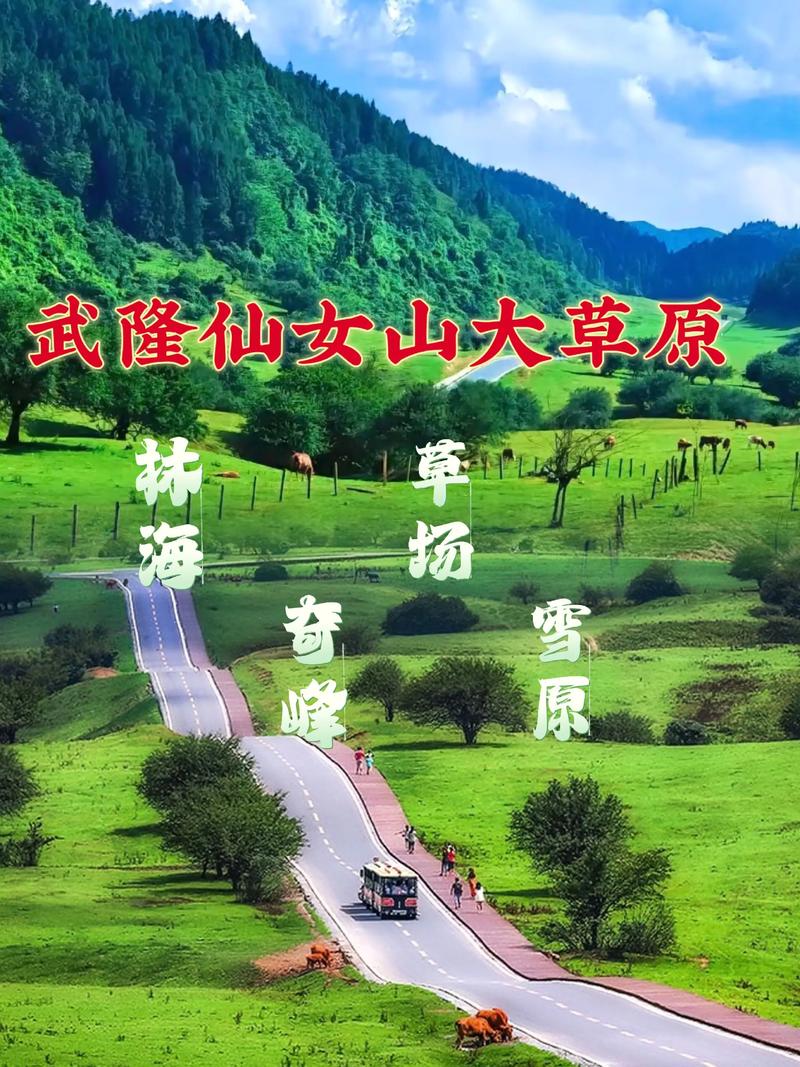 我的最终推荐：武隆仙女山