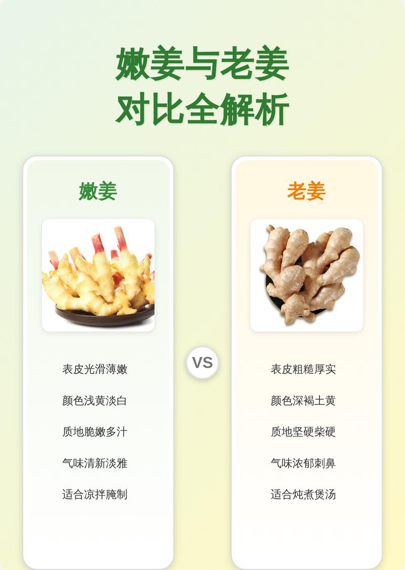 姜：这味被厨房耽误的“全能选手”，我劝你好好认识它-因为所以