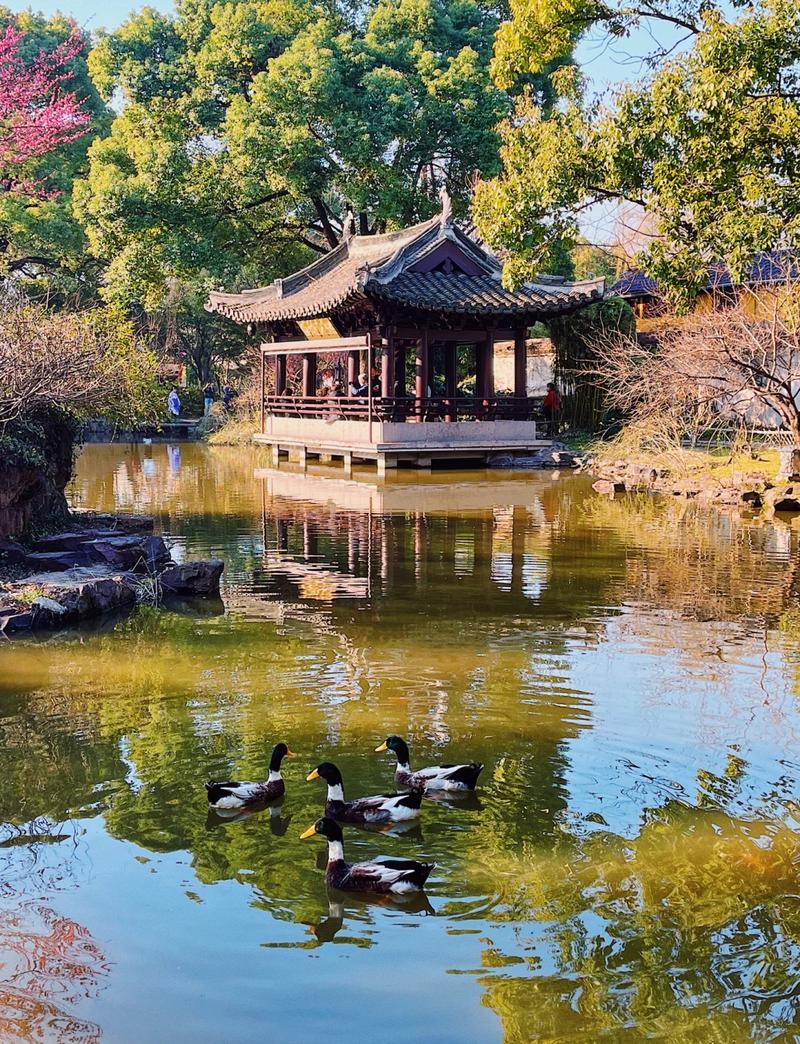 三、沈园:宋代园林的脆弱之美