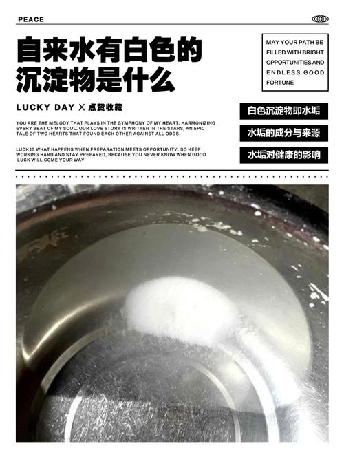 气浮还是沉淀？先搞清水里到底有啥
