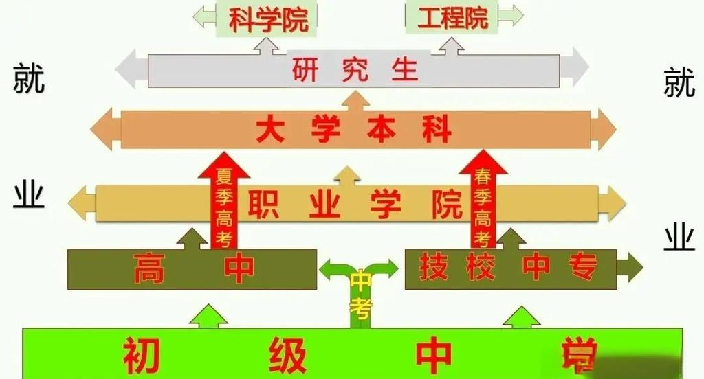 2024职业教育高考升学路径流程图