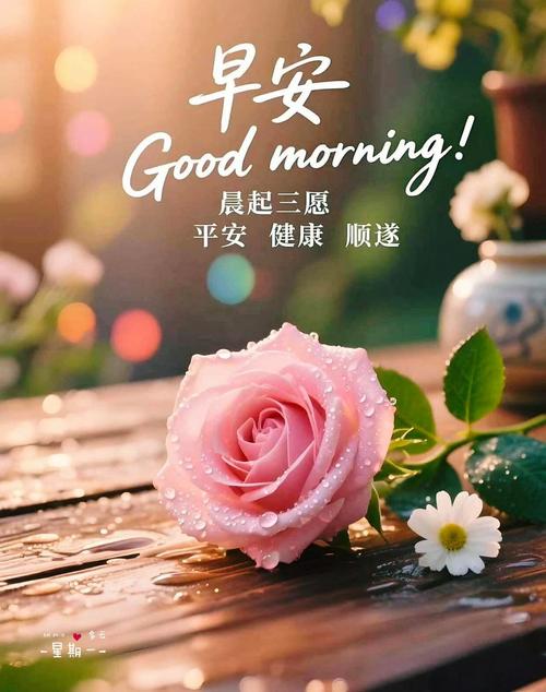 最后,我想起一个清晨