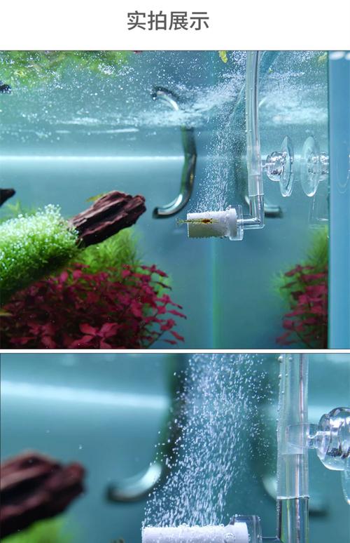 水草缸二氧化碳钢瓶与细化器安装示意图