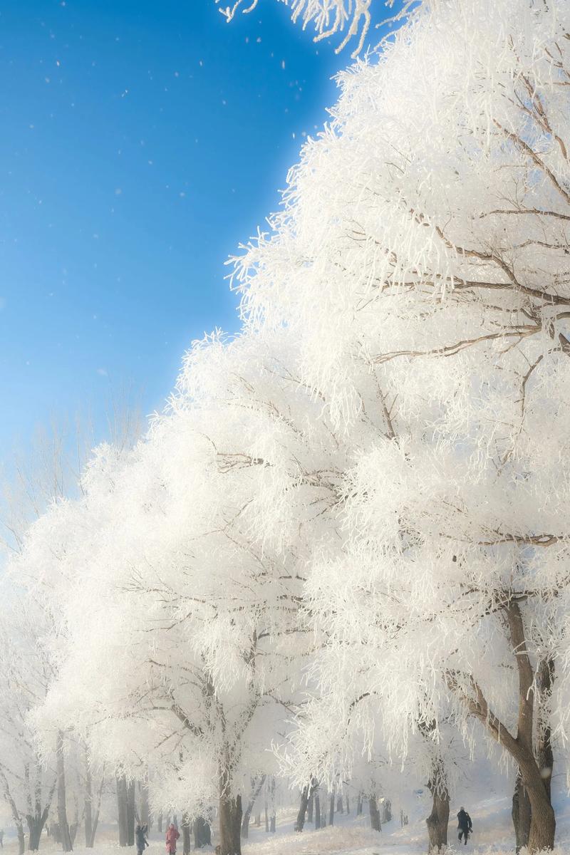 三、冬季作战：雪、雾凇与极简构图