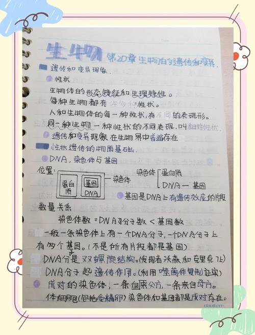 ✅ 产品也有「遗传」和「变异」