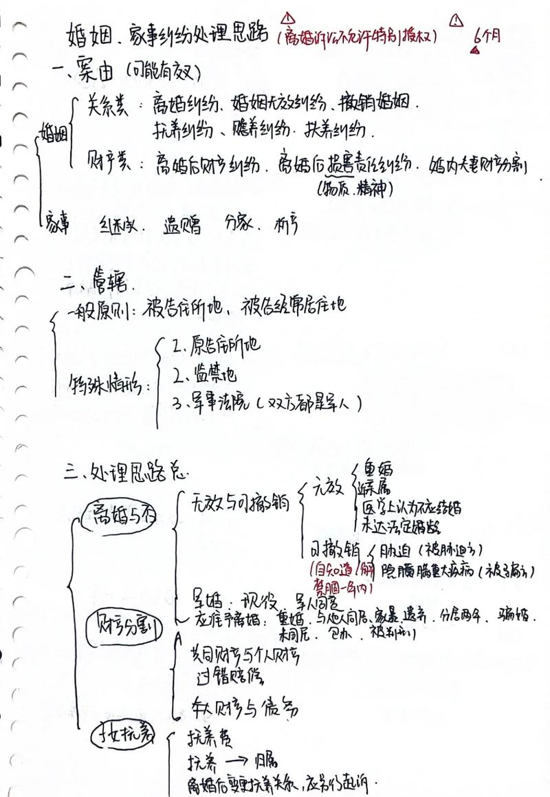 北京婚姻纠纷案件委托办理流程图