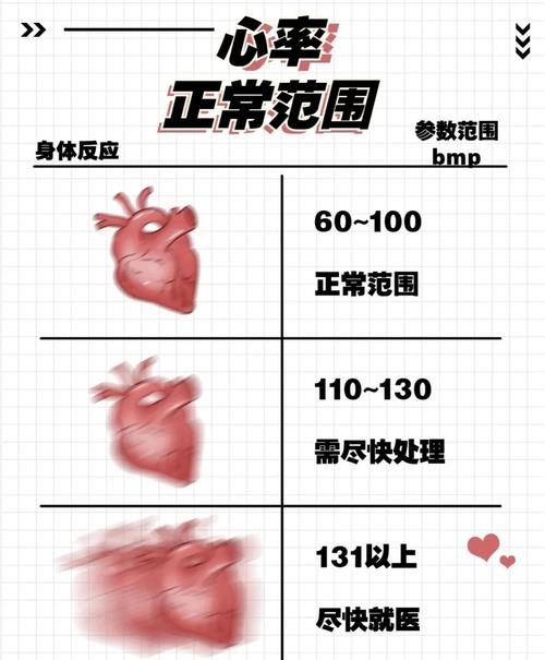 智能手表与医用血氧仪心率数据对比图表