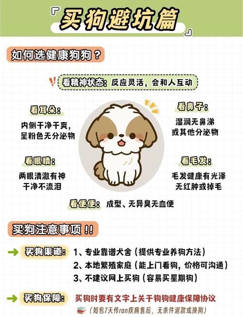 普通人养狗,要避开这些隐形坑
