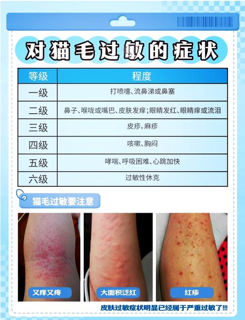 猫皮肤宠物过敏原分布示意图