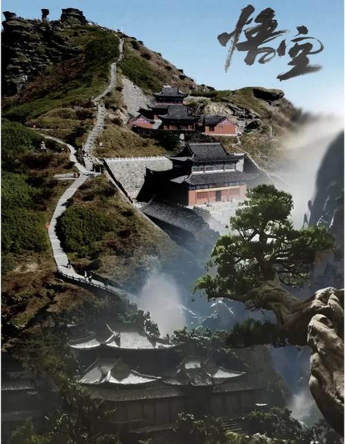 梵净山承恩寺石墙旁的野生卷柏