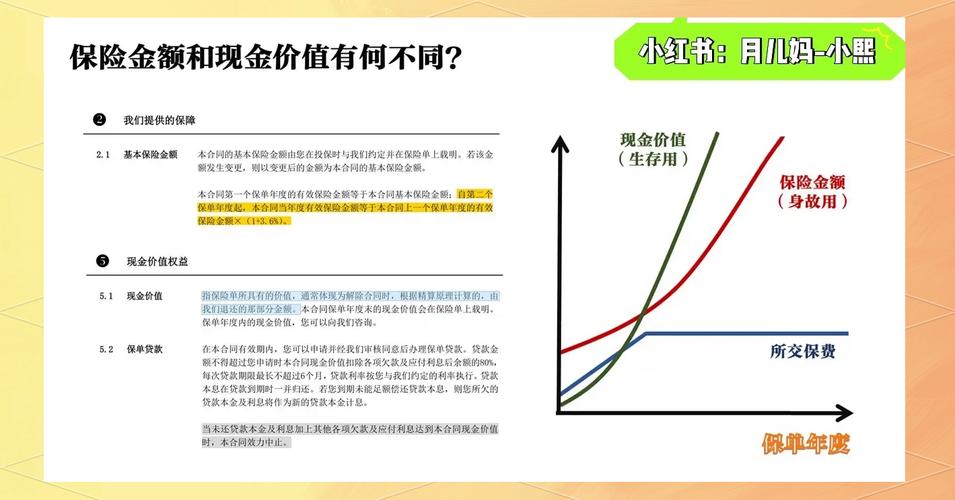 长期重疾险现金价值增长曲线图