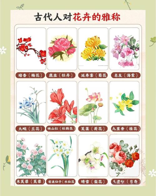 花谱:不只是记录花,更是记录时间-因为所以