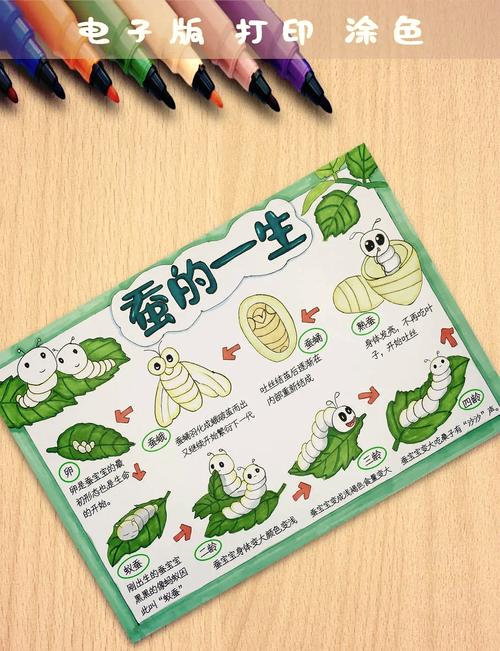 小学生作文本上关于养蚕的稚嫩文字和图画