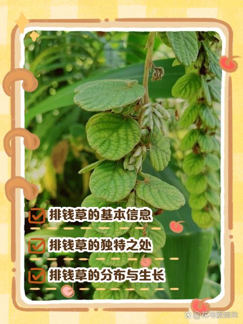 🌿 环保和预算,不得不说的秘密