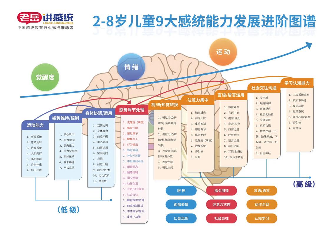儿童五感认知发展路径示意图