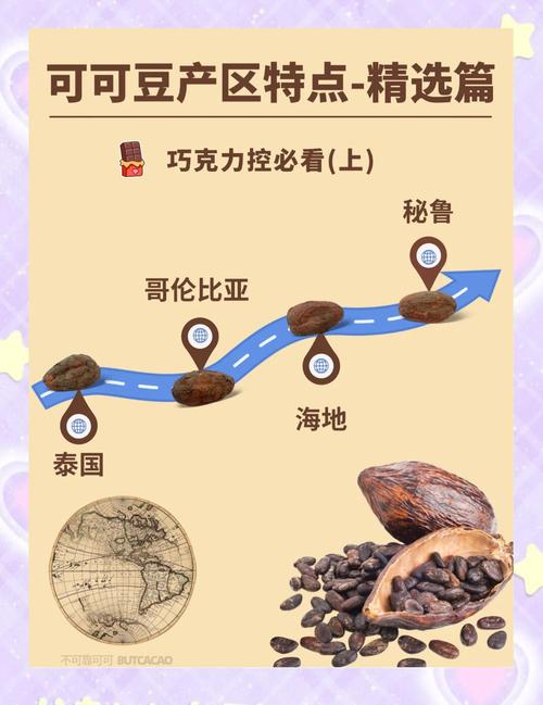 不同产区可可豆横切面对比图,包括颜色和发酵差异