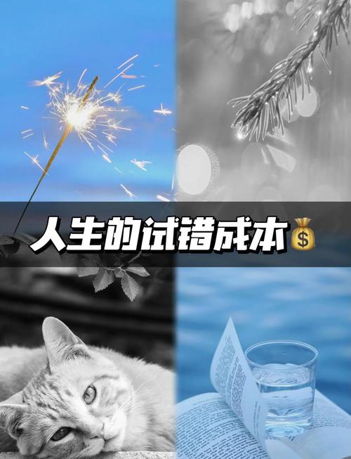 小成本试错，比一直纠结有用一万倍