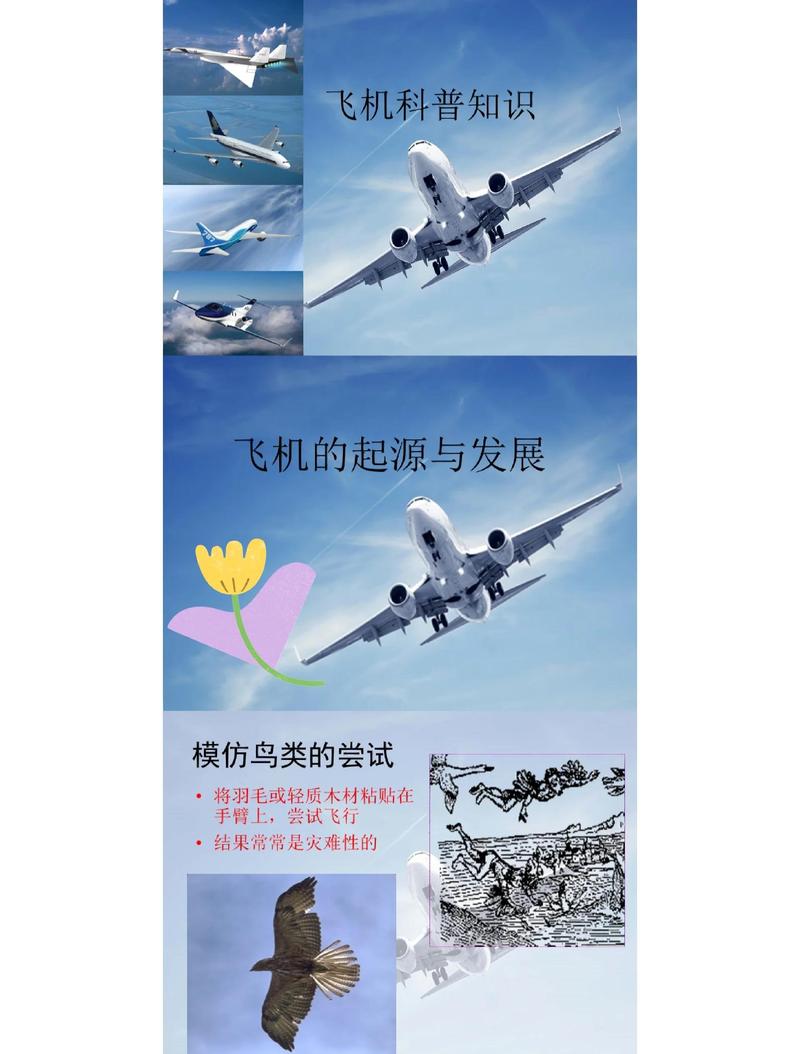 四、对飞行和运动的影响