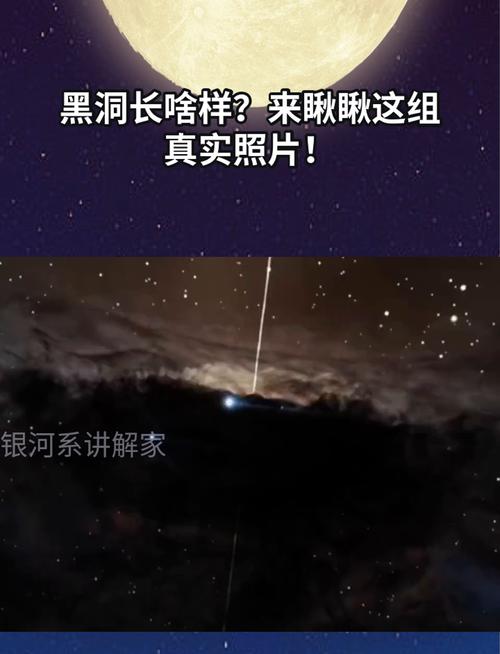 那个黑洞长啥样？
