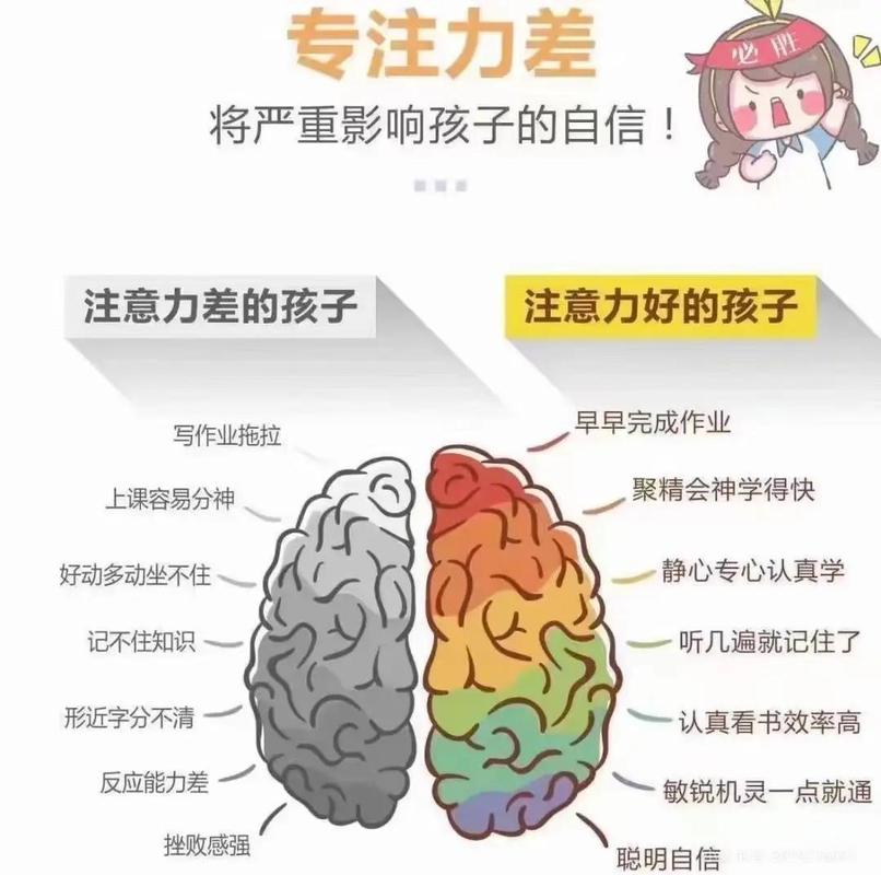 说到底，专注力是一种生活方式的折射