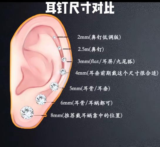 不同尺寸工业耳塞贴合耳道对比示意图