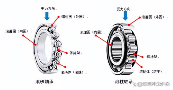 高精度直线轴承内部滚珠排列与保持架结构剖视