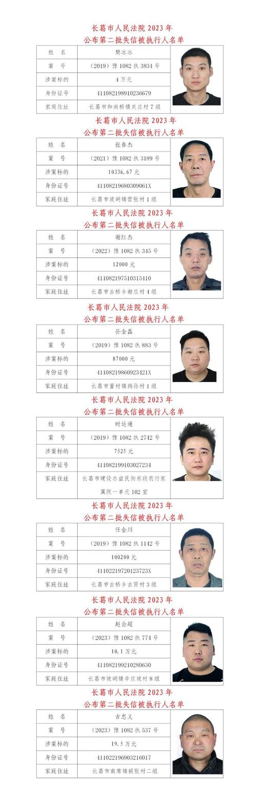 法院失信被执行人名单查询系统页面截图