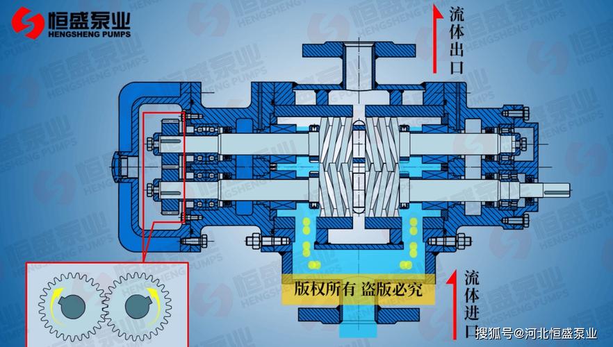 单螺杆泵与双螺杆泵结构对比示意图