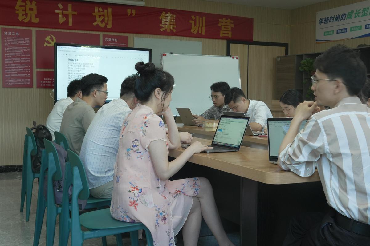 职场新人在会议室演示方案并接受团队反馈