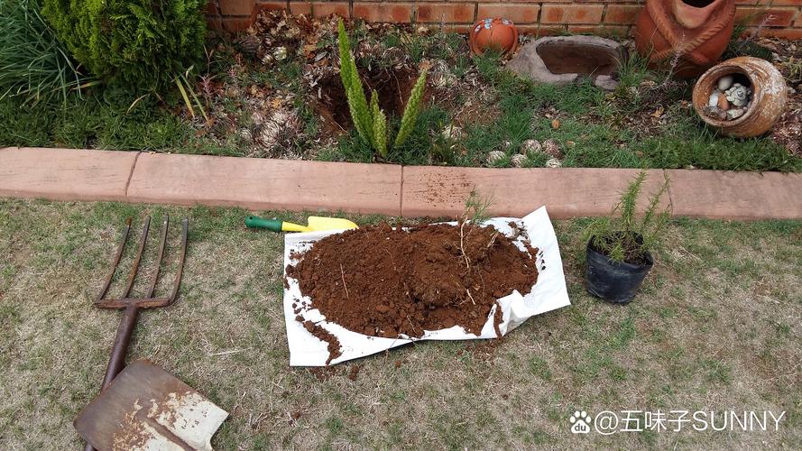 别急着建花园，先看看脚下有没有土壤