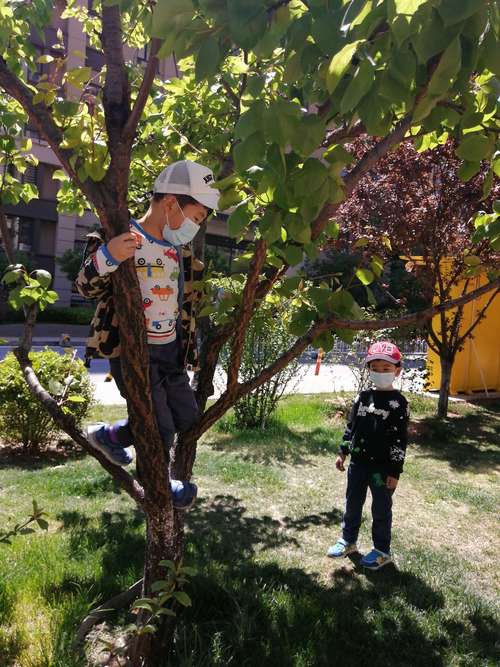 孩子拿硬纸板框在公园看树亲子活动