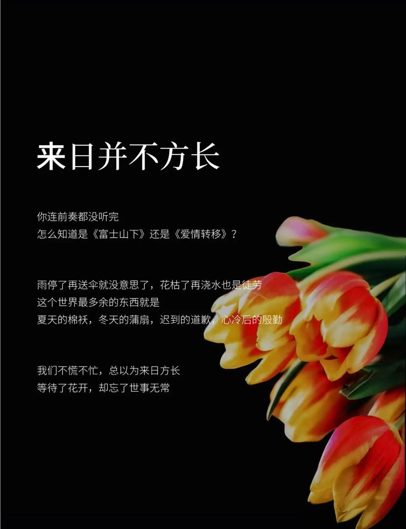 剪影是减法,减到最后只剩运气和观察