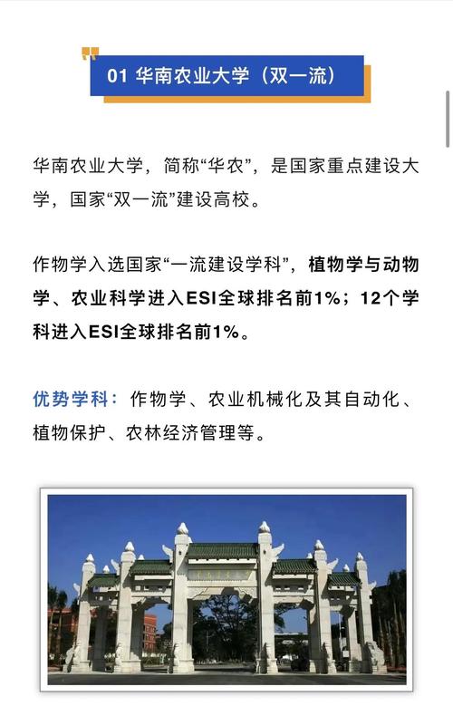 那些被严重低估的“双非”强校,真的值得压上四年青春吗?