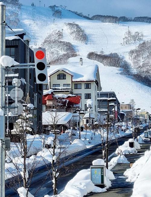 北海道二世古比罗夫滑雪场粉雪树林