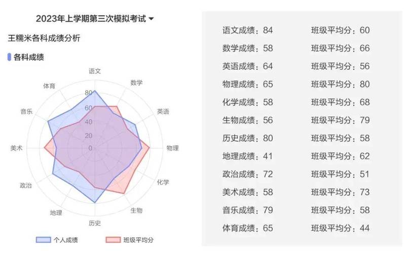 学生阶段测试分数雷达图分析报告