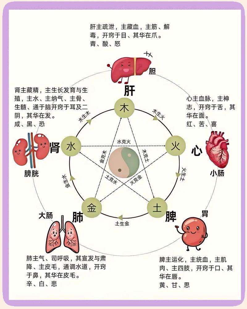 传统中医四季养生五行对应图